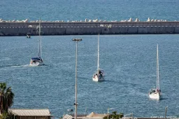 anp031025095 1