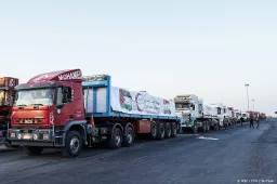 anp201025118 1