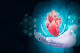 shutterstock_2498486499