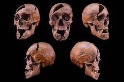 13th-century-dominican-monastery-skull