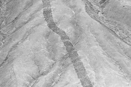 1933-photo-of-monte-sierpe