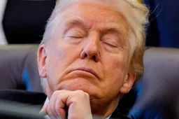 3T2HC64P7RF4XHFWFZLG33DKJA