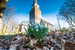 shutterstock_1359869207