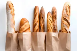 shutterstock_2310832313