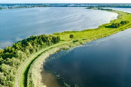 shutterstock_2328240841