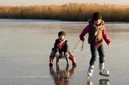 3b31e52a-49c9-44dc-ac7d-01aab220e6a0