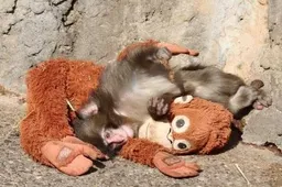 1000155215_1771127848617_1771127853671