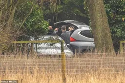 106506197-15573533-image-a-16_1771493365183