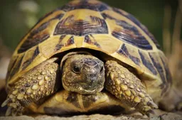 _3c76043e-bbfd-4dd6-a2e6-dcb22a336966 (1)