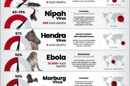 Deadliest-Viruses-Site