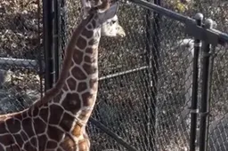 Scherm­afbeelding 2026-02-20 om 07.52.55