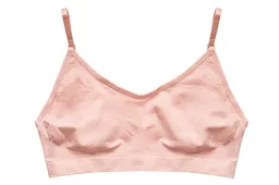 shutterstock_2652253845