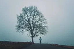 206036761-l-1-67b98e471277f