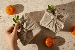 Scherm­afbeelding 2026-03-20 om 07.07.04