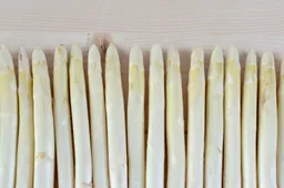 shutterstock_1509636425