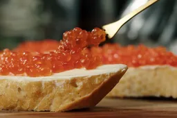 shutterstock_2063113412