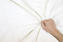 shutterstock_2444784309