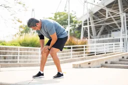 shutterstock_2622240149