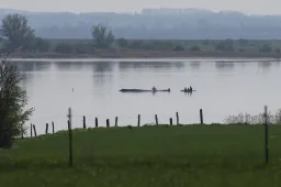 anp170426124 1