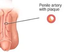 Scherm­afbeelding 2026-04-09 om 07.47.34