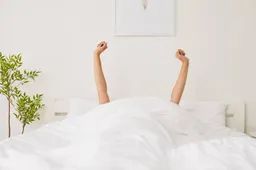 shutterstock_2674414387