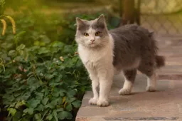 182355899_m