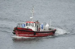 anp060526110 1