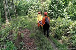 anp080526084 1