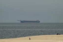 anp100526048 1