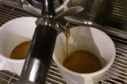 anp110526121 1