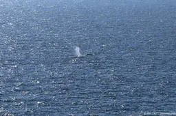anp150526088 1