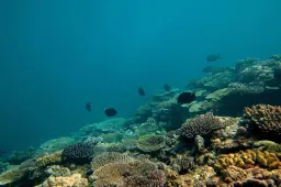 anp160526045 1