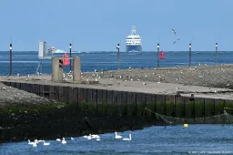 anp180526056 1