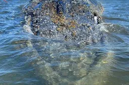 IMG_3973