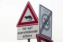 anp090626008 1