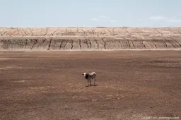 anp180626070 1