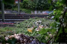 anp200626074 1