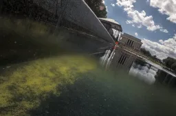 anp210626044 1