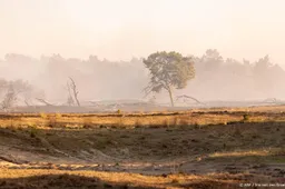 anp230626108 1