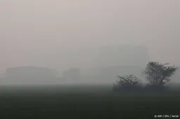 anp230626133 1