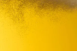 shutterstock_2752465121