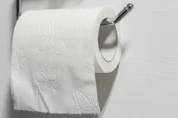 0_Toilet-roll-holder-with-toilet-paper