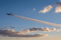 305238491_m
