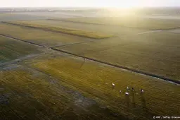 anp220726002 1