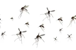 shutterstock_2760584093