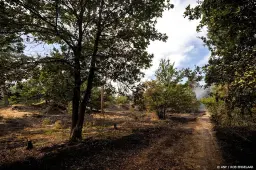 anp040826143 1