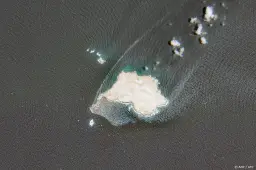 anp100826115 1