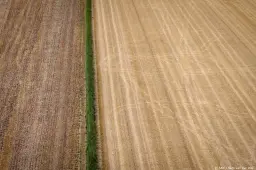 anp120826001 1