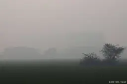 anp130826129 1