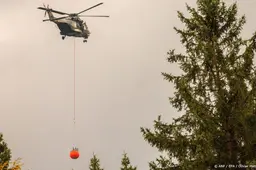 anp190826065 1